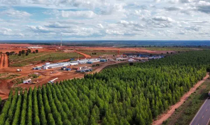 Governo do Estado investe em acessos estratégicos para impulsionar setor da celulose em MS
